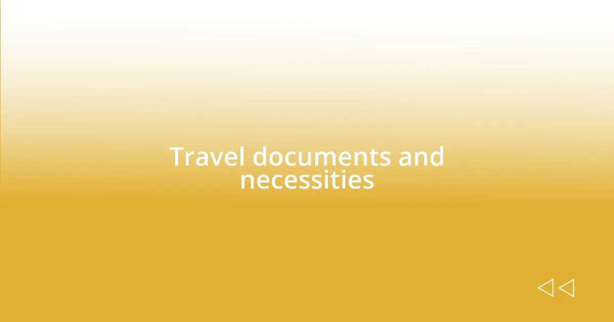 Travel documents and necessities